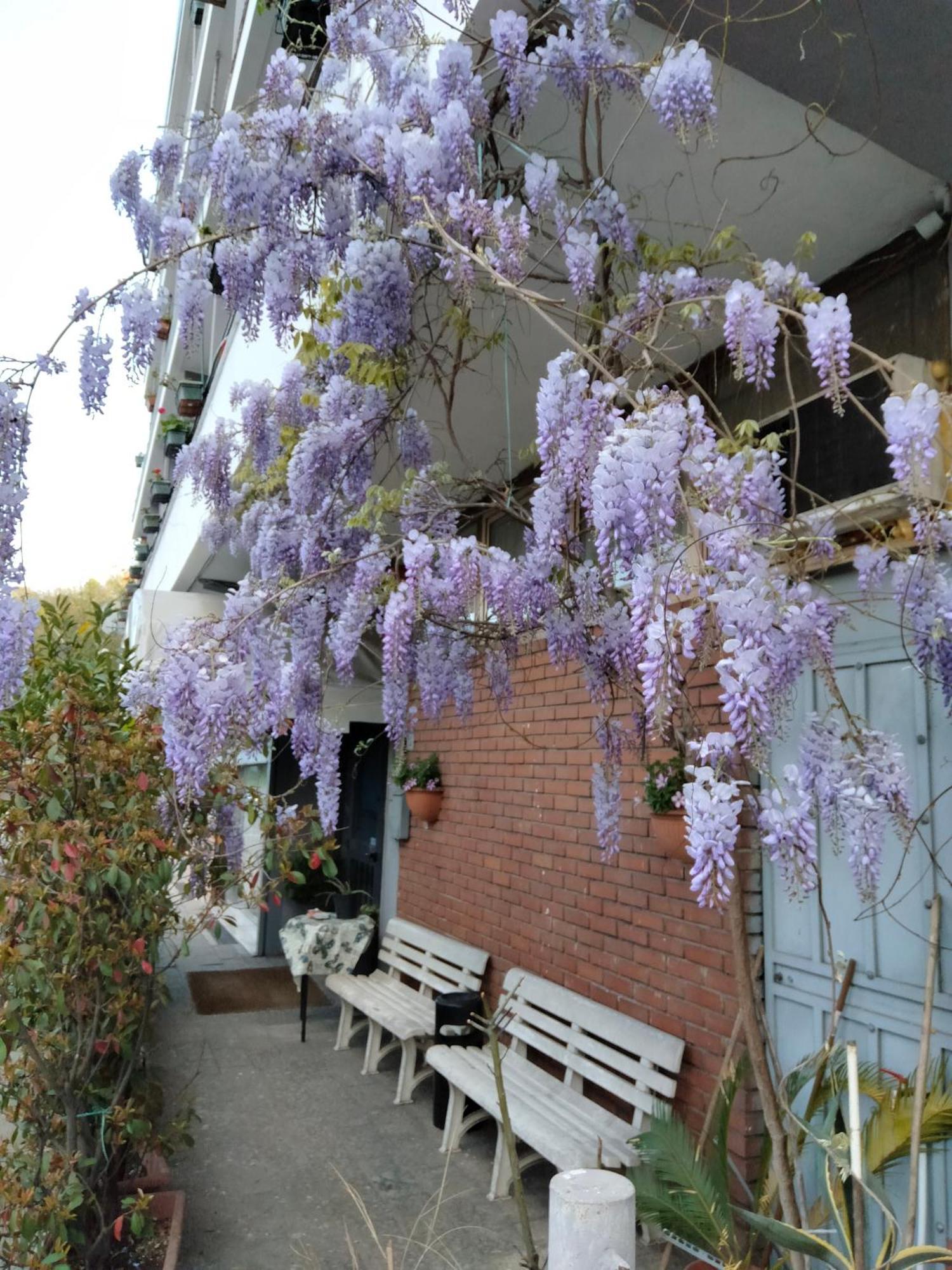 伦巴第大区酒店 塞维索 外观 照片