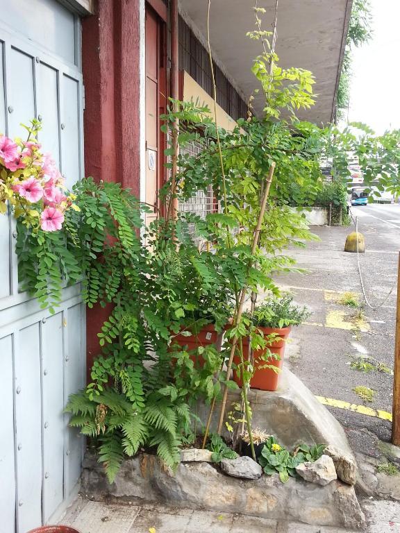 伦巴第大区酒店 塞维索 客房 照片
